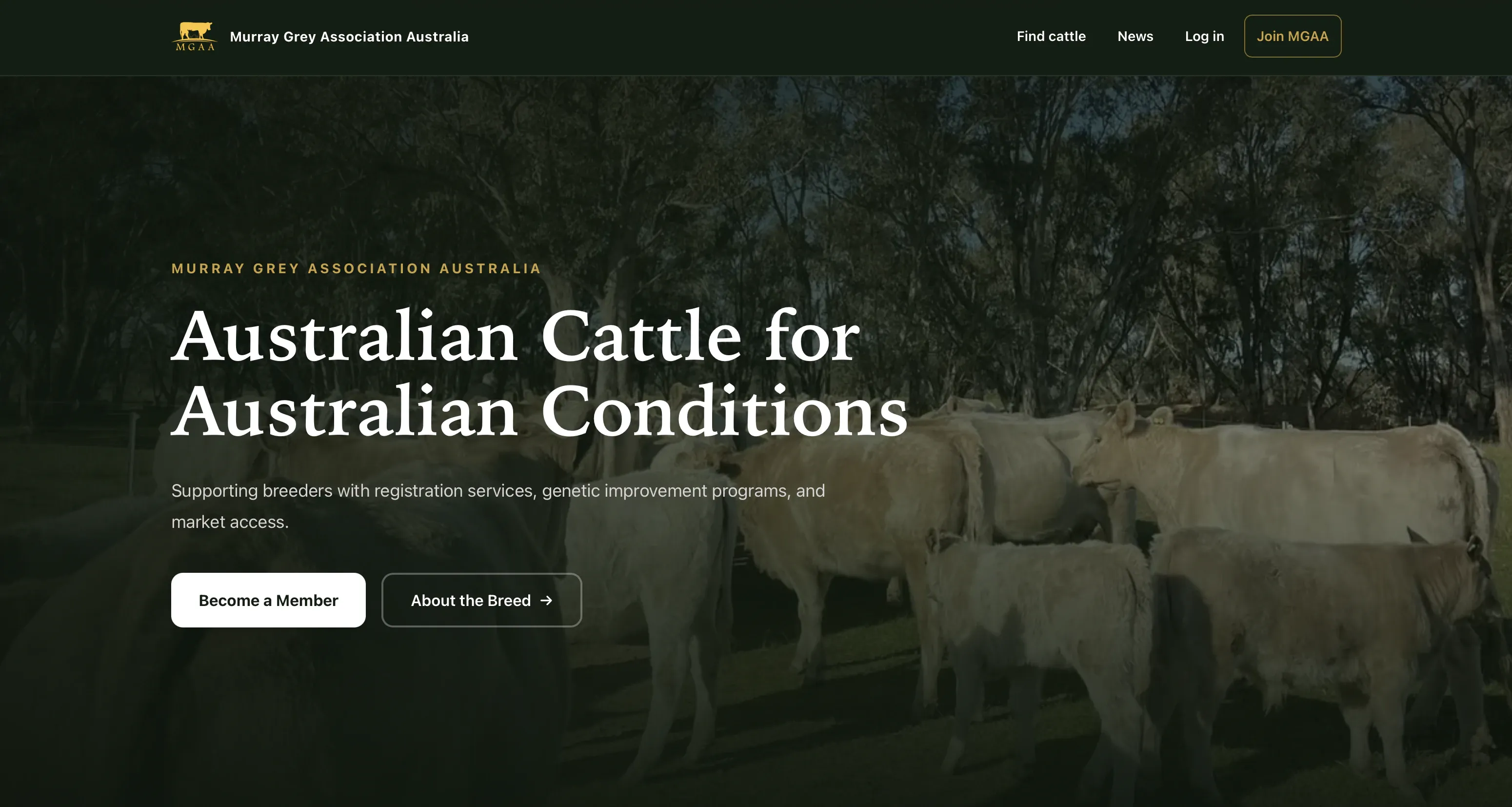 Murray Grey Aus product interface screenshot