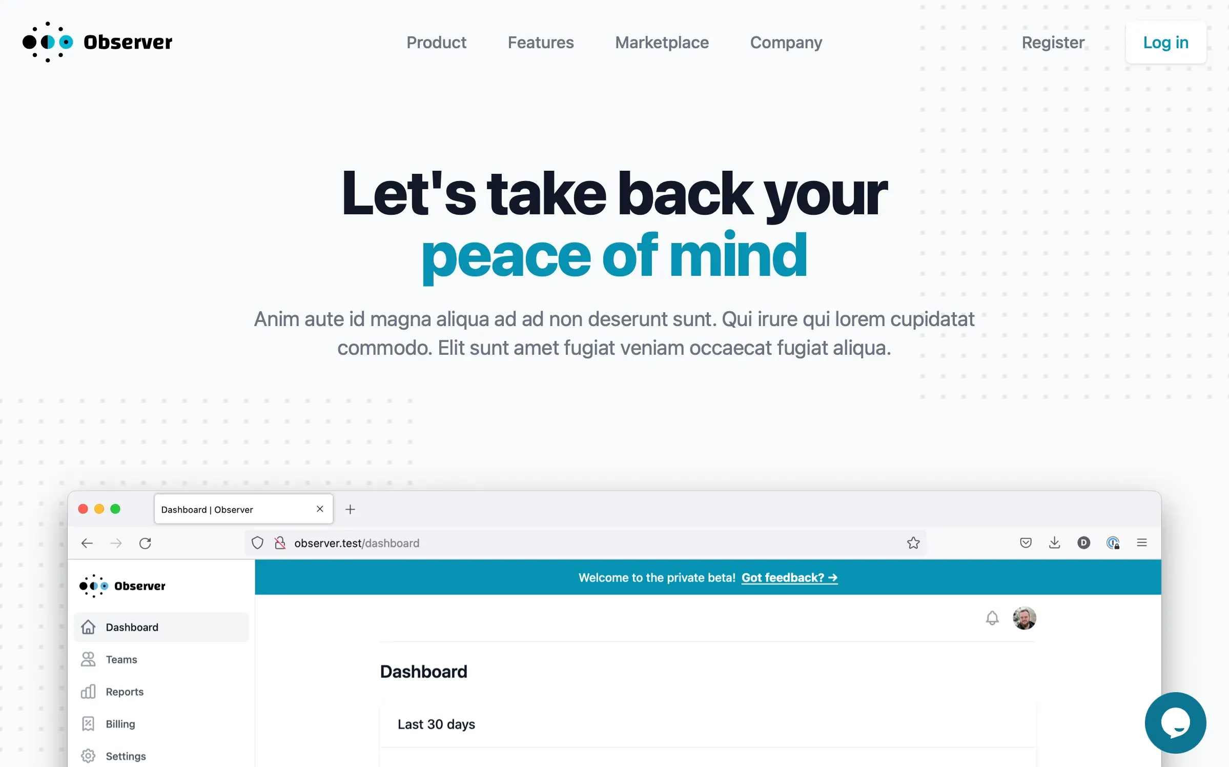 Observer product interface screenshot